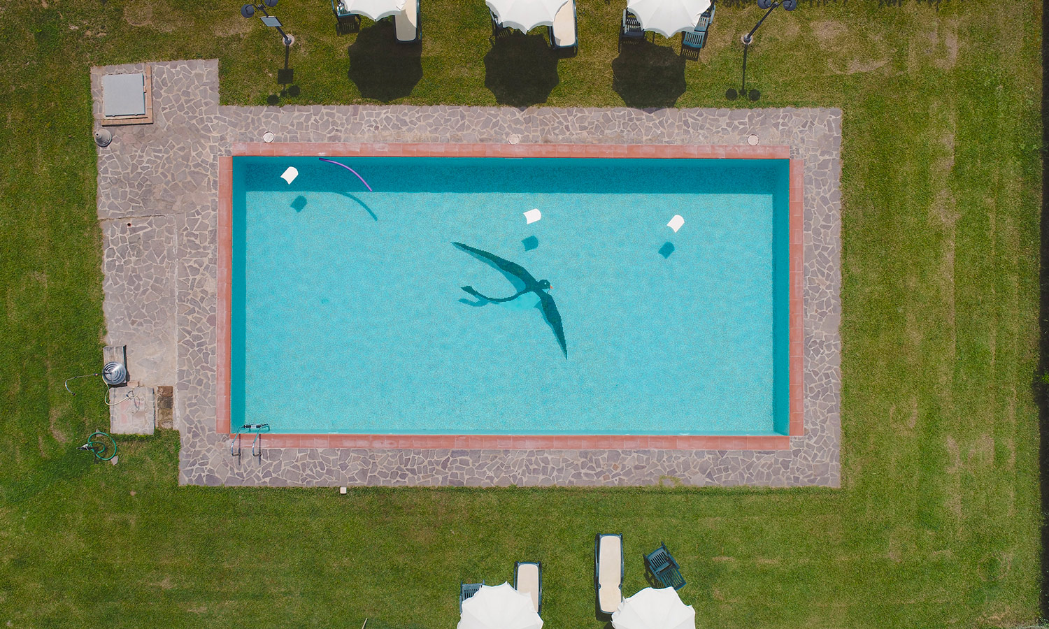 Agriturismo La Rondine, con piscina in Maremma Toscana