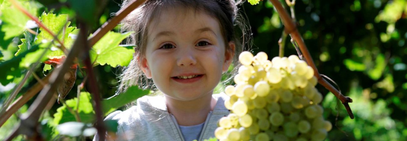 vendemmia-bambini
